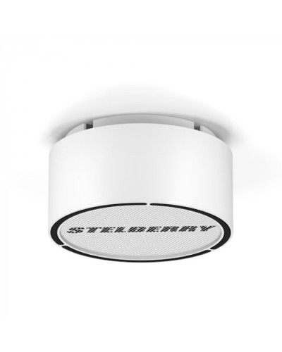 Громкоговоритель STELBERRY F-306W в Санкт-Петербурге Акустические системы Pintop.ru