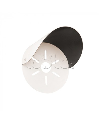 Защитный козырек SLT ЗК-2 в Санкт-Петербурге Кронштейны и адаптеры для камер и мониторов Pintop.ru