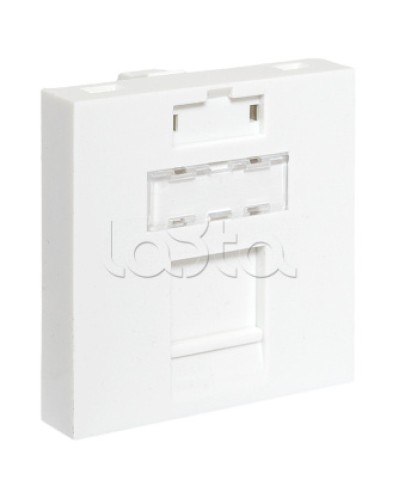 Вставка розеточная TERACOM PRO 45x45мм формат Mosaic на 1 модуль Keystone белая EKF (TRP-INS-MOS-2M1P-WH) в Санкт-Петербурге Розетки компьютерные и телефонные Pintop.ru