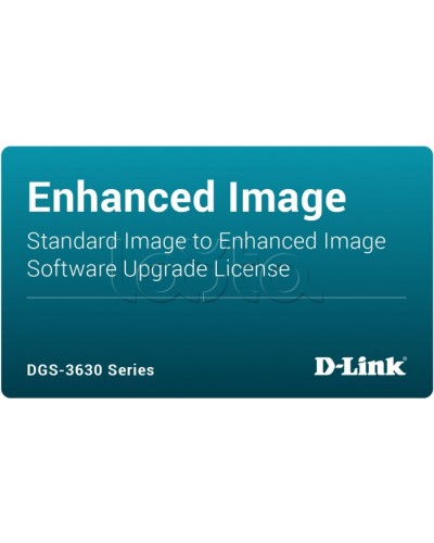 ПО D-Link DGS-3630-28TC-SE-LIC в Санкт-Петербурге Беспроводное оборудование Pintop.ru