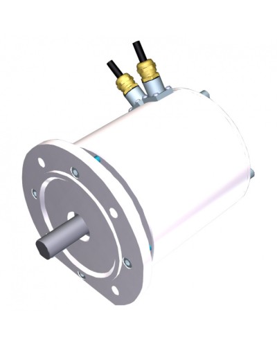 Электродвигатель FROG-MD Came 119RIA080 в Санкт-Петербурге Запчасти для шлагбаумов и автоматики Pintop.ru