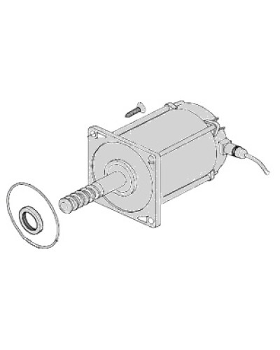 Электродвигатель Came 119RIA025 в Санкт-Петербурге Запчасти для шлагбаумов и автоматики Pintop.ru