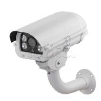 IP-камера видеонаблюдения в стандартном исполнении EverFocus ACE-PAV20F