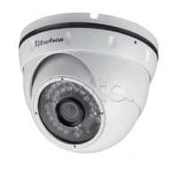 IP-камера видеонаблюдения уличная купольная EverFocus EBN-268